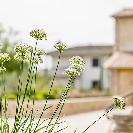 Il Momento Летний дом Тоди